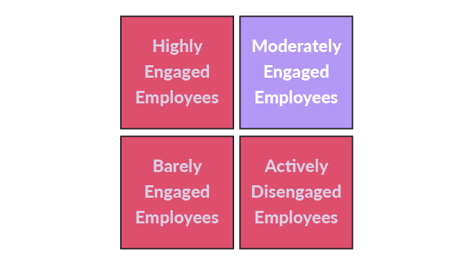 Moderately Engaged Employees